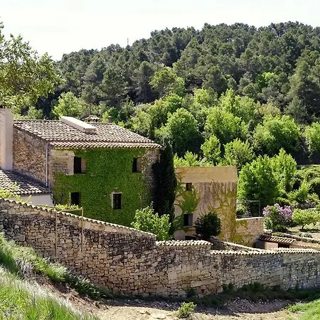 Ca L'olier * Montblanquet