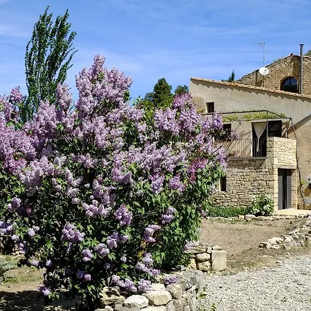 Ca L'olier Casa vacanze Montblanquet